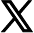 x icon